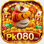 PK080 Game